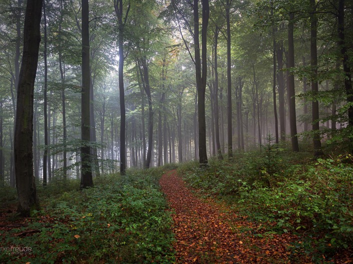 Herbststimmung am Donnersberg