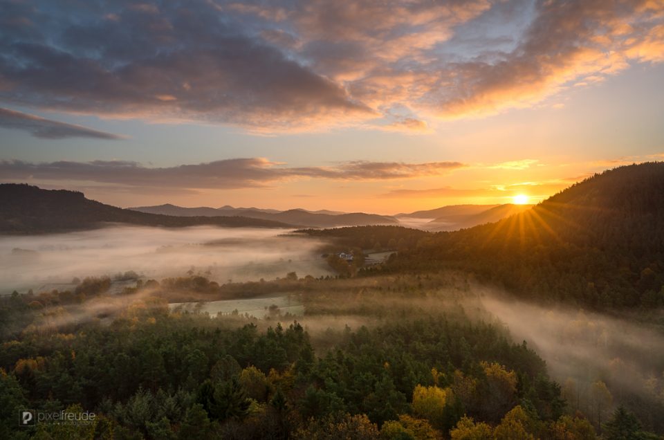 Herbstland-Pfalz