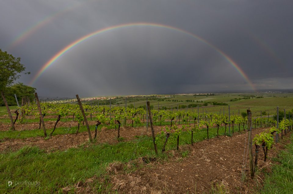 Regenbogen über der Pfalz