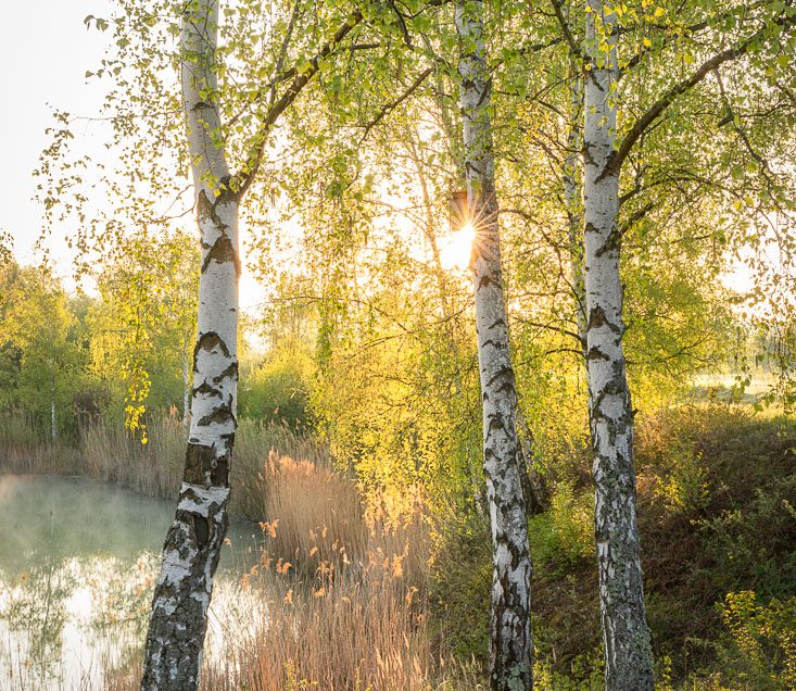 Frühling in der Erdekaut